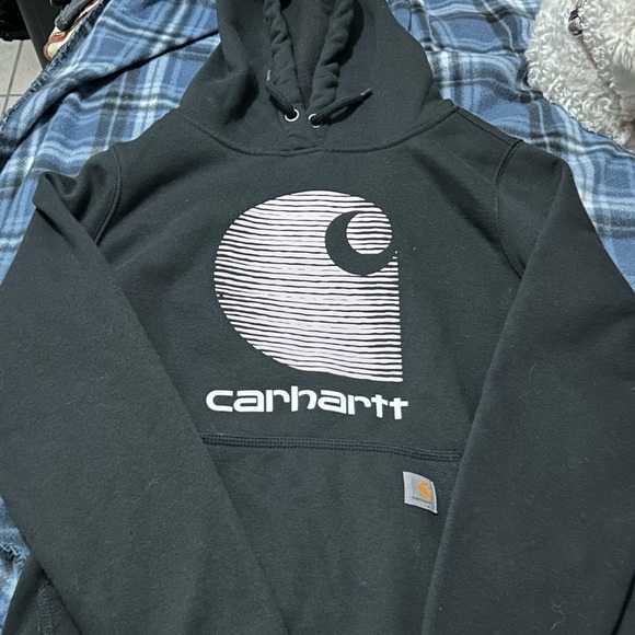 Carhartt Rain Defender Fleece Lined Hoodie - Picture 1 of 4